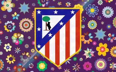 利来播报-巴西球迷为球队绝育称专心支持球队