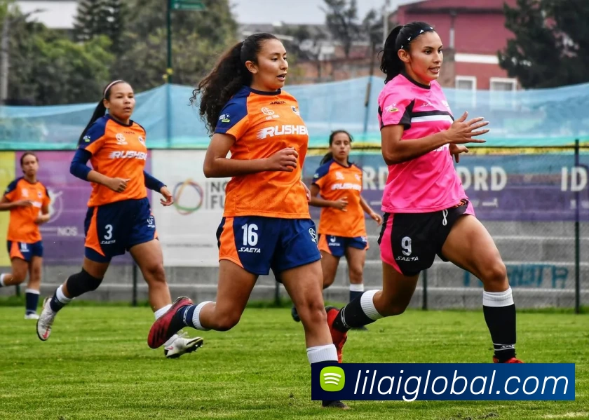 App Interface Preview